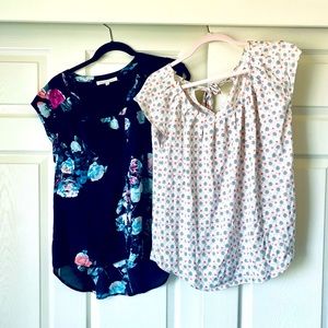 Two cap sleeve blouses